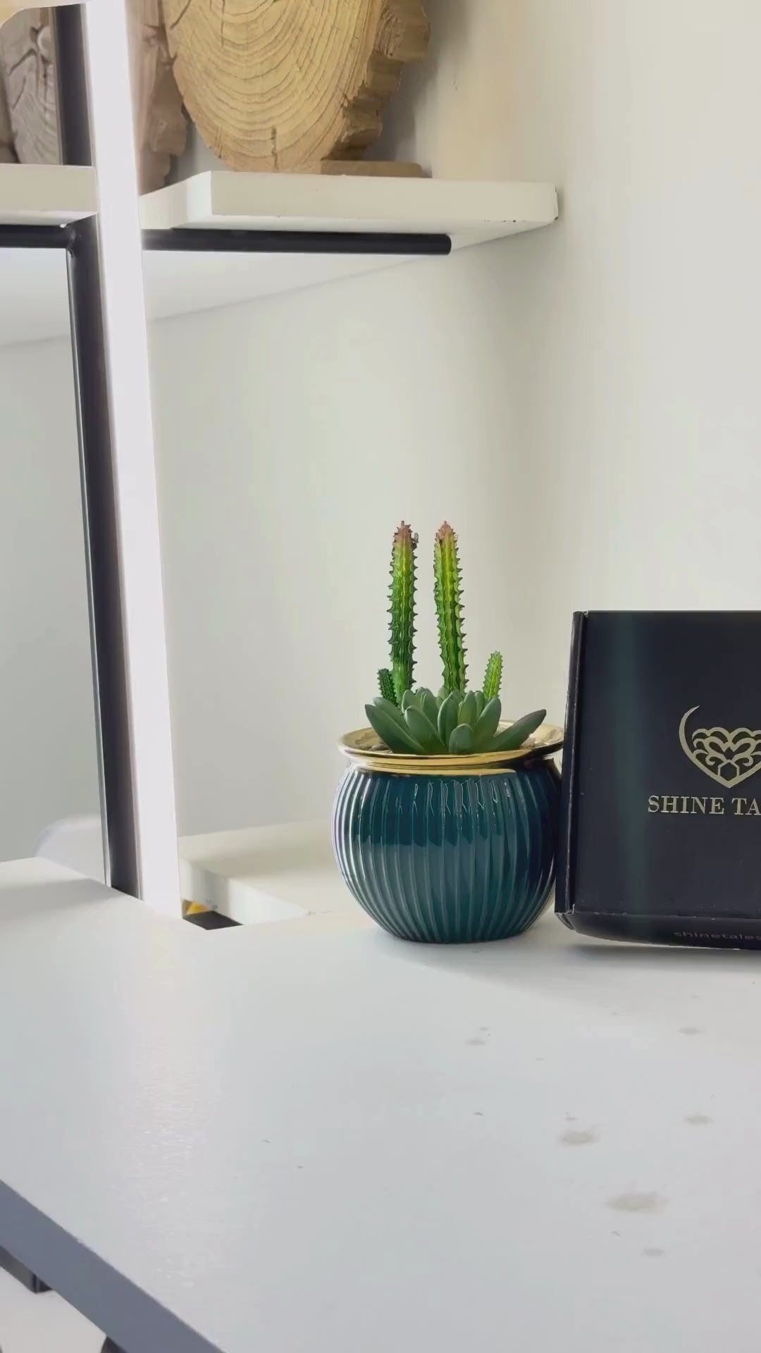 Geometric Dangle Earrings